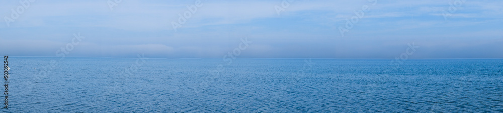 Panorama der Ostsee mit Möwe