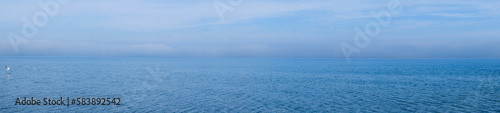 Panorama der Ostsee mit Möwe
