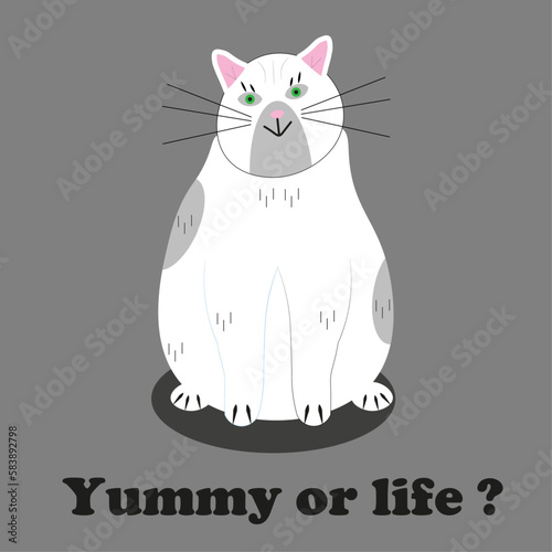 White Cat
