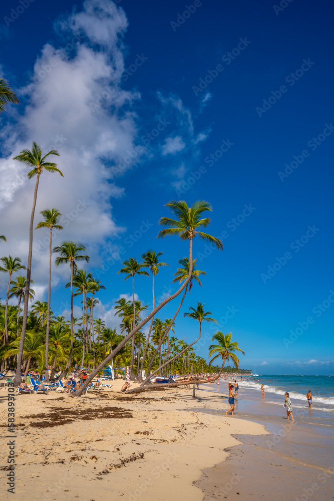 View of sea, beach and palm trees on a sunny day, Bavaro Beach, Punta Cana View of sea, beach and palm trees on a sunny day, Bavaro Beach, Punta Cana