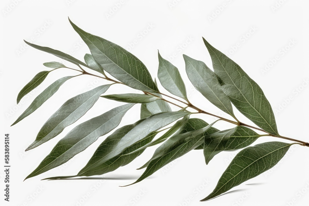 Obraz premium leaves isolated on white, generative AI