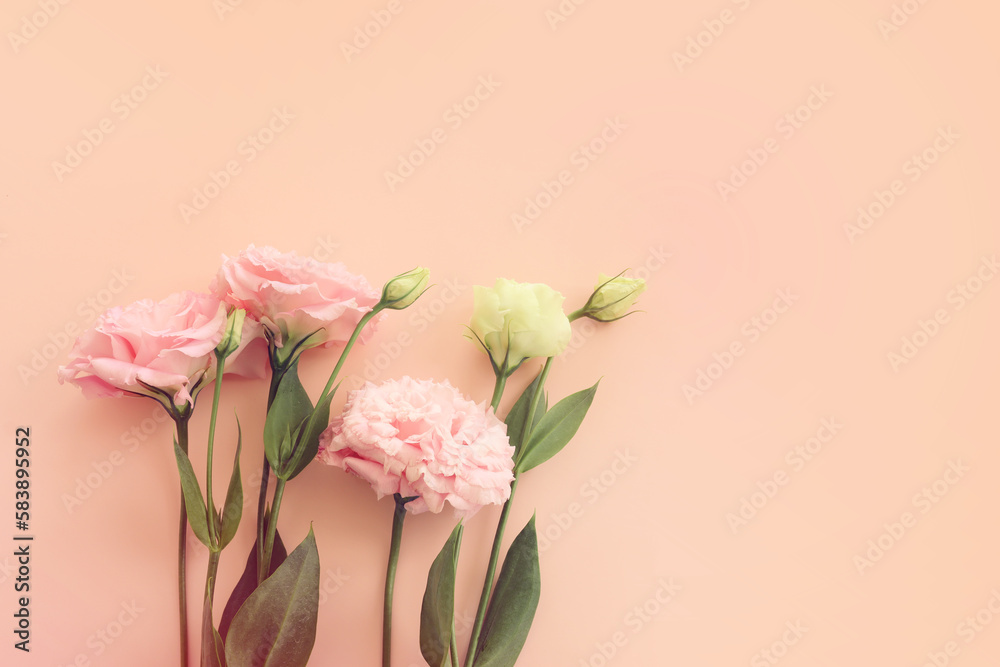 Top view image of delicate flower over pastel background