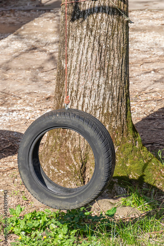 An old tire is used as a swing, attaching it with a rope to a tree branch