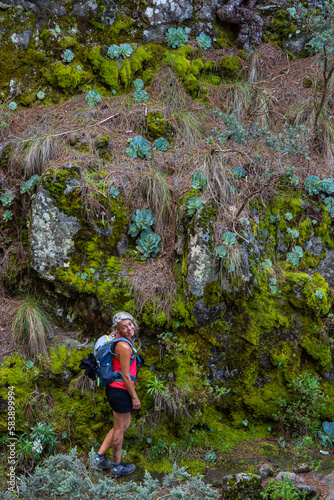 Woman hiking the forest of Las Lagunetas in Tenerife Canary Islands