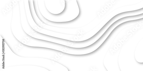  Abstract Luxury paper cut background, Abstract decoration, white pattern lines gradients, 3d Vector illustration, topographic canyon map light relief texture, curved layers.