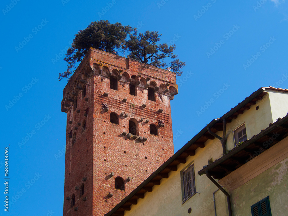 Italia, Toscana, la città di Lucca. La torre Guinigi. Stock Photo