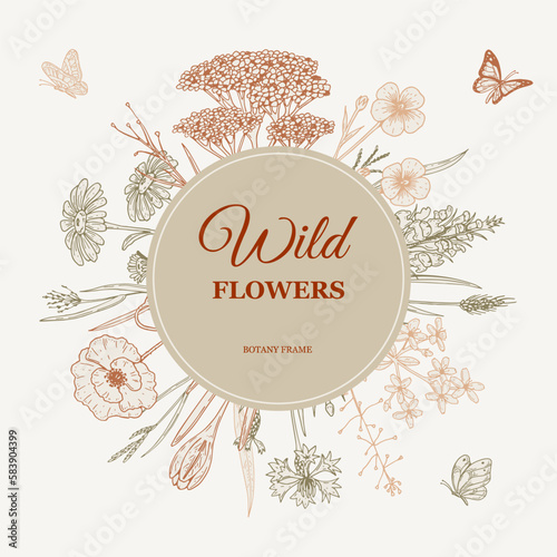Meadow flowers frame. Hand drawn field wildflowers border. Vector illustration in sketch style. Aesthetic botany design for logo and packaging