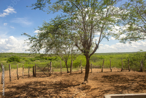 corral of a farm in northeastern Brazil