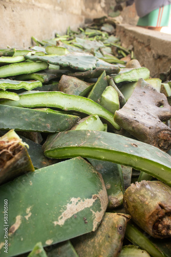 Close-up image of cactus pear pieces in a corral