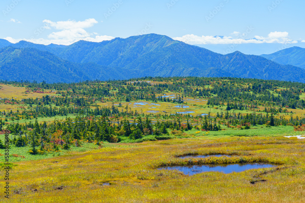 Obraz premium 草紅葉の天空の楽園 苗場山 百名山登山 新潟
