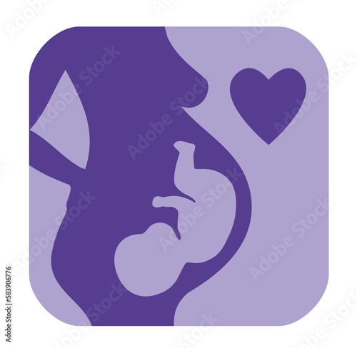 Pregnancy fetus baby