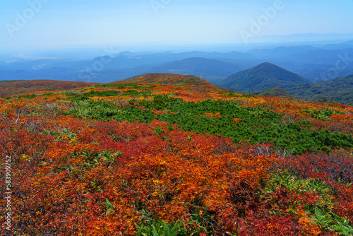 神の絨毯　日本一美しい紅葉　栗駒山　東北観光10月