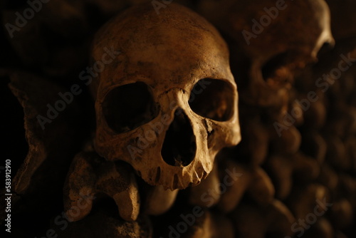 Skulls and Bones in Dark Catacombs