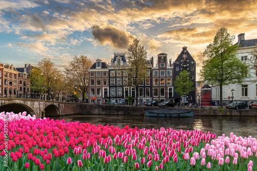 Amsterdam Netherlands, city skyline at canal waterfront with spring tulip flower