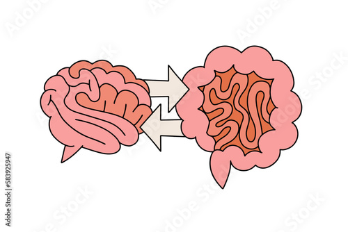Gut brain connection illustration with arrows. Physiology body human concept, health gastrointestinal tract, circulation organism, hand drawn thin line elements isolated white. Vector picture.