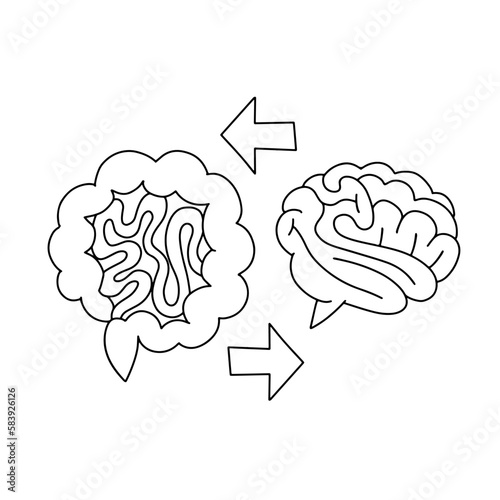 Gut Brain Axis linear concept. Brain and stomach with arrows line illustration. Brain gut connection. Psychobiotic medical scientific discovery. Vector black on white illustration photo