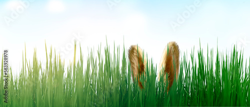 Osterhase im Gras