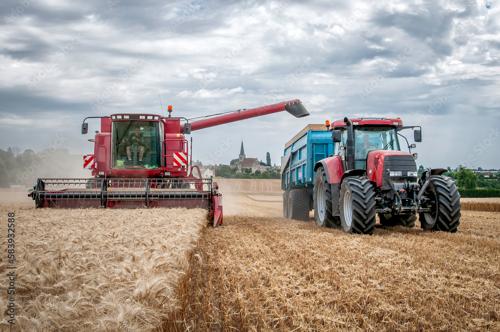 Fototapeta premium Moisson de blé