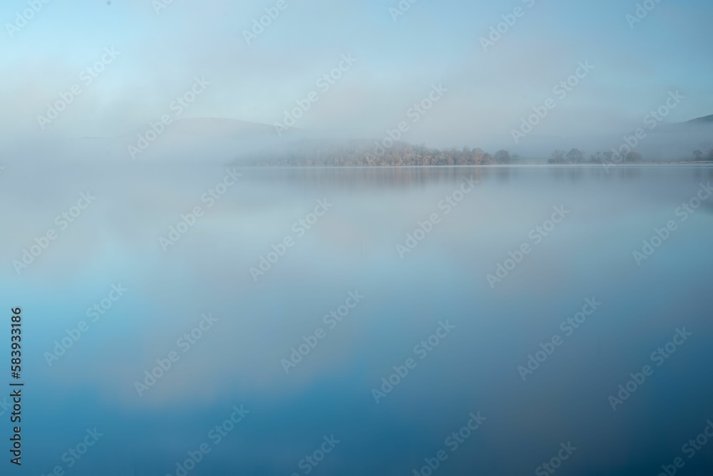 Landscape view of the trees reflected in the sea on a foggy day