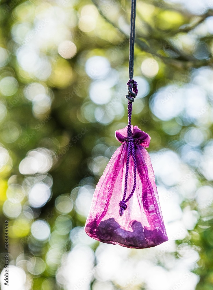 Wicca purple offering bag hanging from the trees around The Rollright Stones circle Wicca purple offering bag hanging from the trees around The Rollright Stones circle