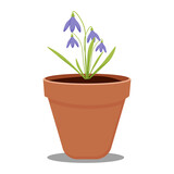 purple snowdrop in a pot on a transparent background. vector illustration