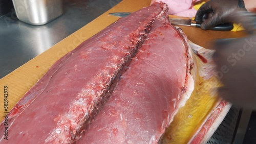 Close-up of the process of cutting tuna fish at the market. Male hands in gloves cutting a large fish with a knife.