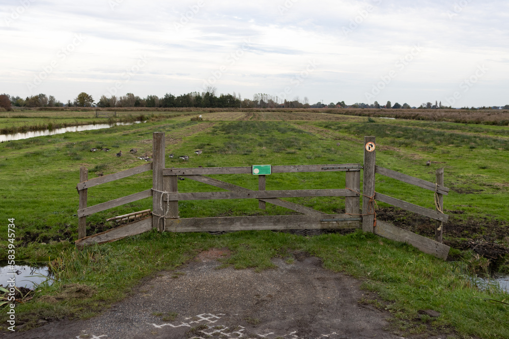 Wood Gate in front of a Green Grass Field in Rural Zaanse Schans Netherlands