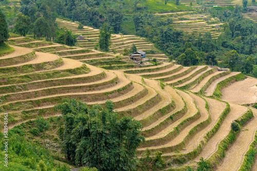 Northern Vietnam, terrassed rice fields in the mountains. © Angela Meier