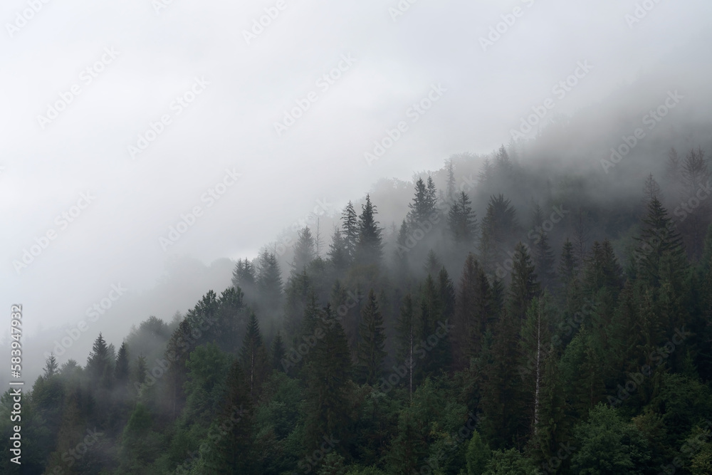 Fog in the mountains. An interesting background for inscriptions in a depressive or terrible style