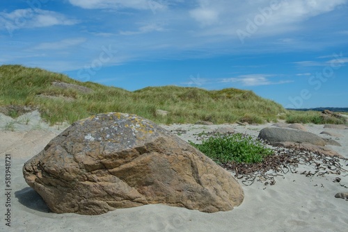 Coastal landscape in the Brusand beach in Norway photo