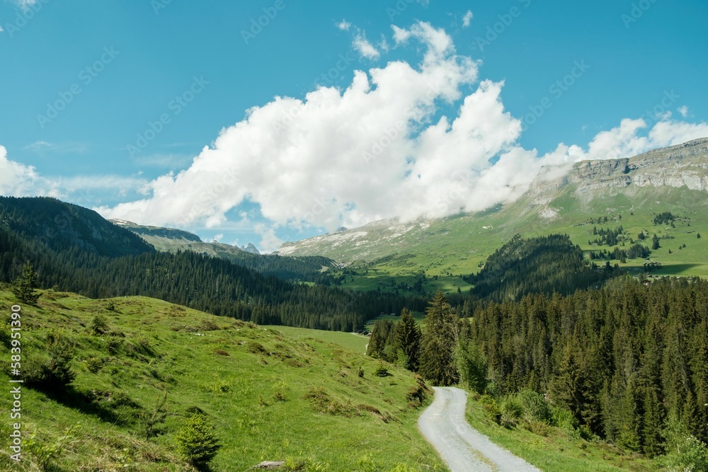 Path in the Swiss mountains under a blue sky in summer in Flims, Grisons