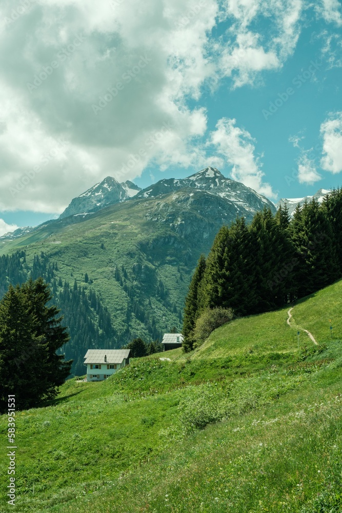 Vertical shot of a houses in a field on the foot of Brigels Breil Mountains in Grisons, Switzerland