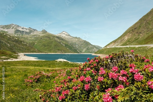 Beautiful view of a small pond in the middle of a verdurous field in the background of pink flowers © 35mmfs/Wirestock Creators