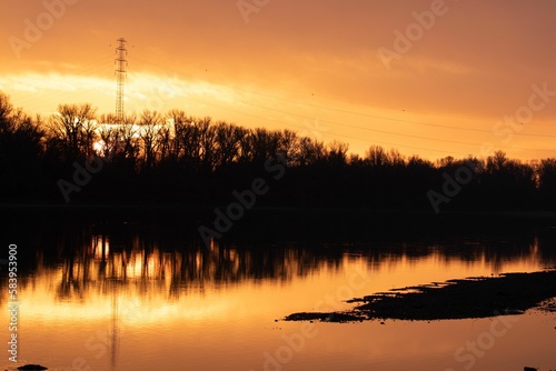 Dramatic shot of silhouette of trees reflecting on the lake surface during golden hour at sunset