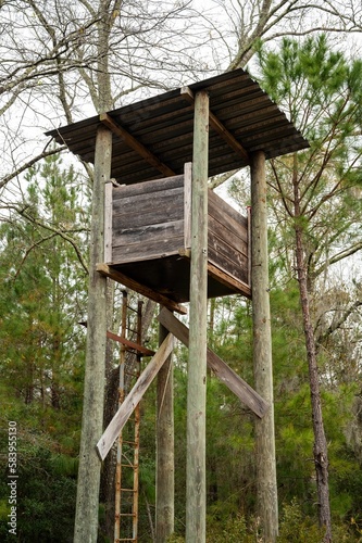 Vertical shot of a wooden watchtower in the middle of a forest © Joe75/Wirestock Creators