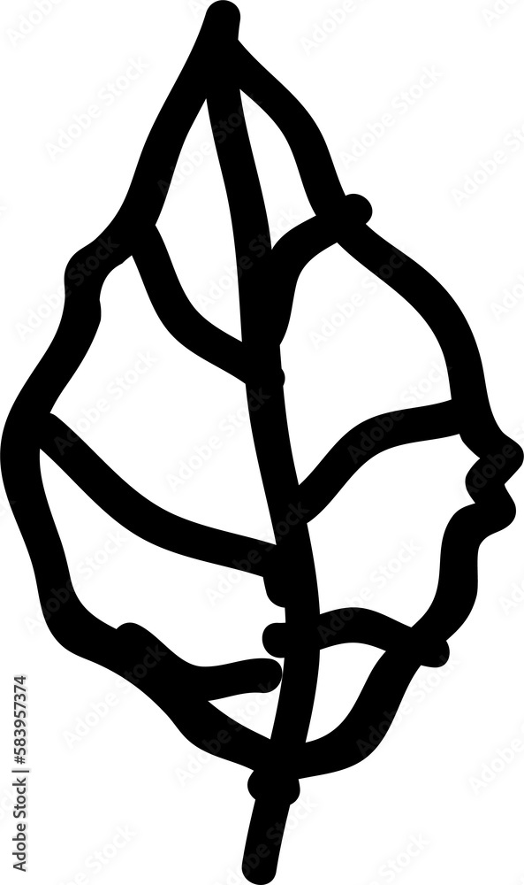 Hand drawn leaves illustration, Transparent background Hand drawn leaves illustration, Transparent background