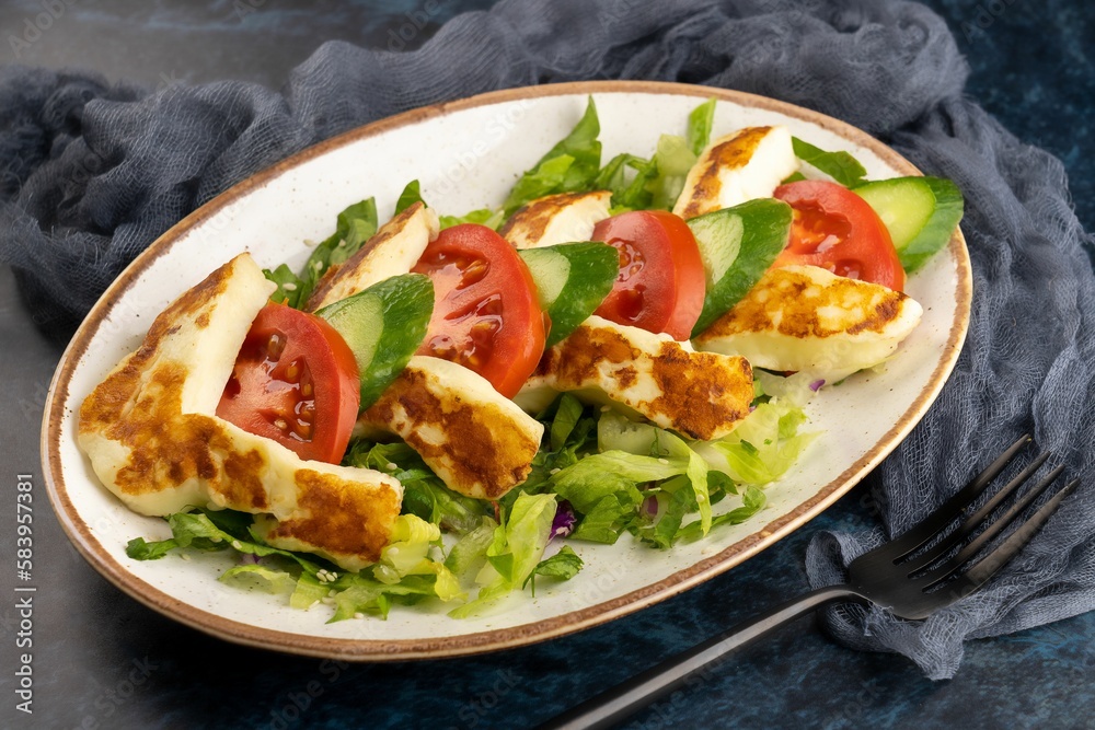 Closeup shot of grilled halloumi cheese served with tomato and cucumber Closeup shot of grilled halloumi cheese served with tomato and cucumber
