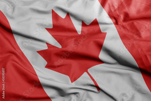waving national flag of canada .macro shot. 3D illustration
