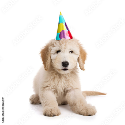 Beige Goldendoodle dog laying down with a party hat - isolated on white background - Generative AI © Lisa