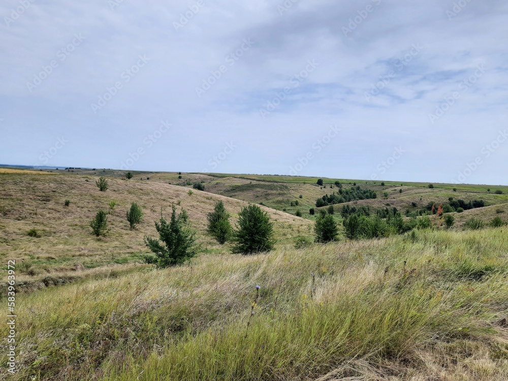 landscape with a wall