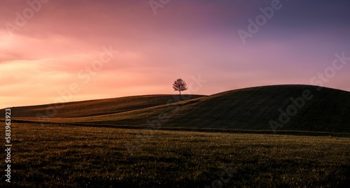 Scenic shot of a tree on top of hills in a field during dusk