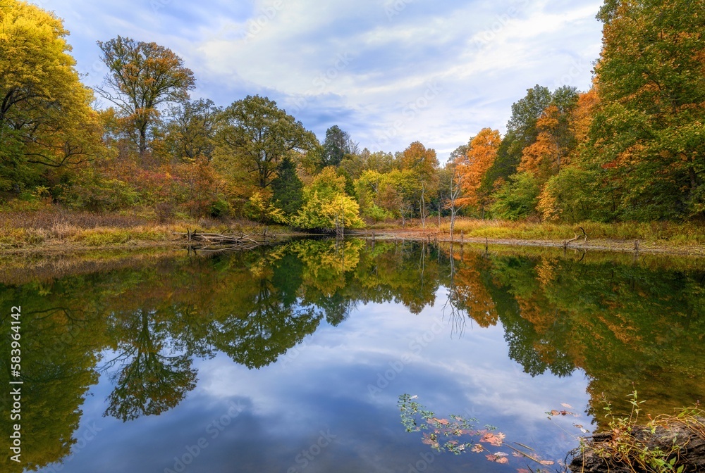 Lake reflecting surrounding green trees at sunrise in Beckley creek park in Louisville, Kentucky Lake reflecting surrounding green trees at sunrise in Beckley creek park in Louisville, Kentucky