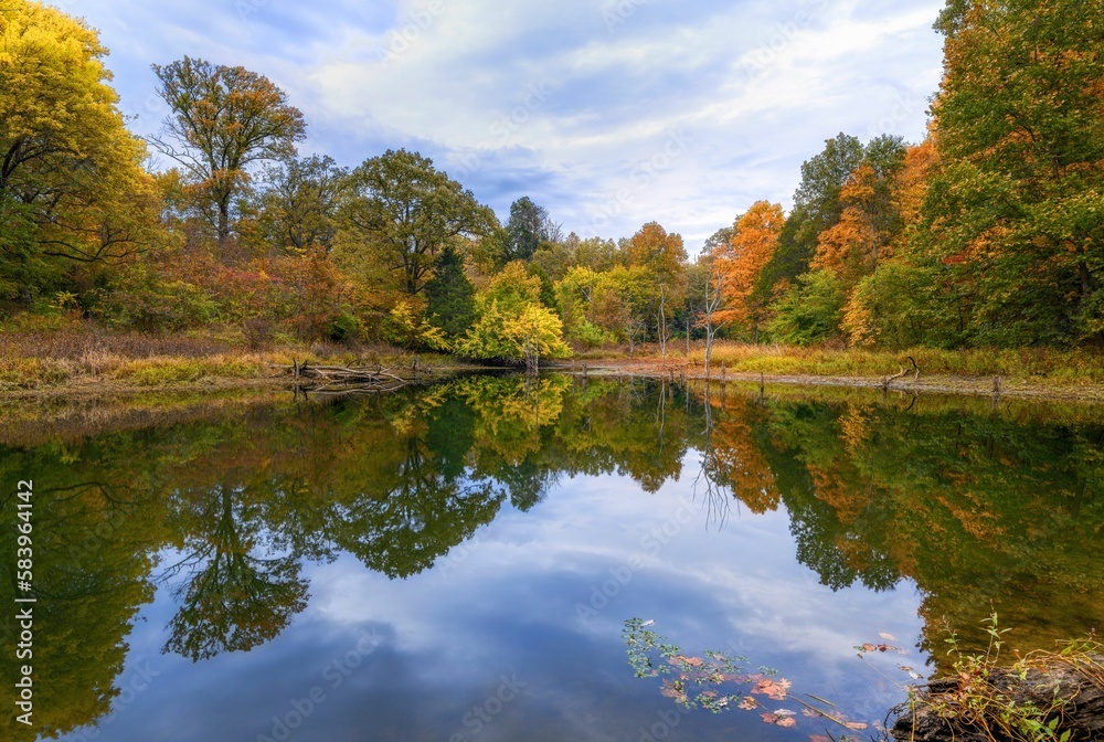 Lake reflecting surrounding green trees at sunrise in Beckley creek park in Louisville, Kentucky