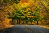 Scenic view of an asphalt road covered with fallen leaves in Cherokee park in autumn