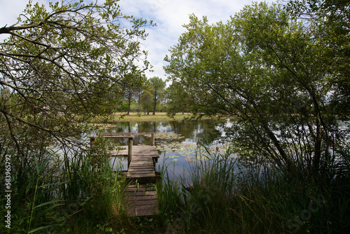 un ponton sur le lac d'Hourtin