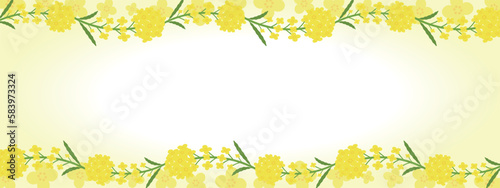 爽やかな春の菜の花バナー