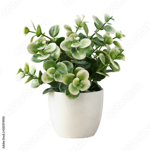 Wallpaper Mural Green and white artificial plant with small leaves in a plastic pot isolated on