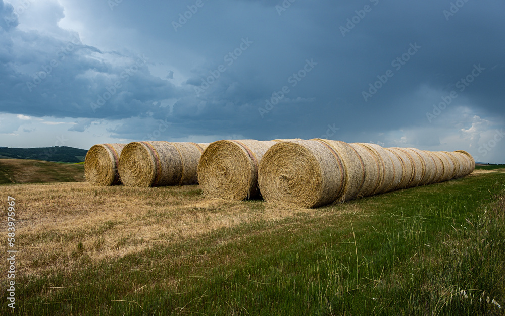 Agricultural landscape of hay bales in a field in spring season. Hilly Tuscan landscape - central Italy - Europe