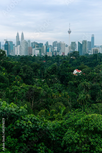 Kuala Lumpur city skyline with the jungle