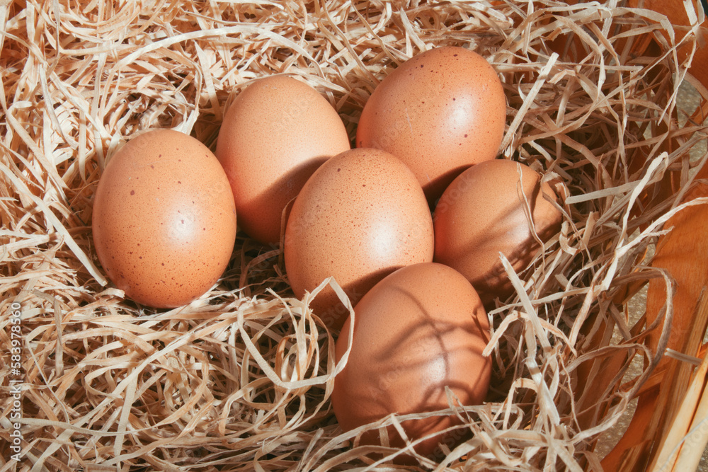 Half a dozen freshly laid organic eggs on straw background in a basket Half a dozen freshly laid organic eggs on straw background in a basket